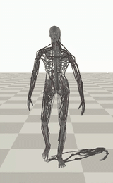 Initial random motion in the musculoskeletal simulation