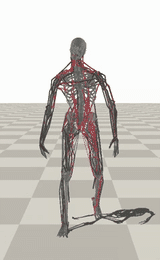 Intermediate unnatural walking motion