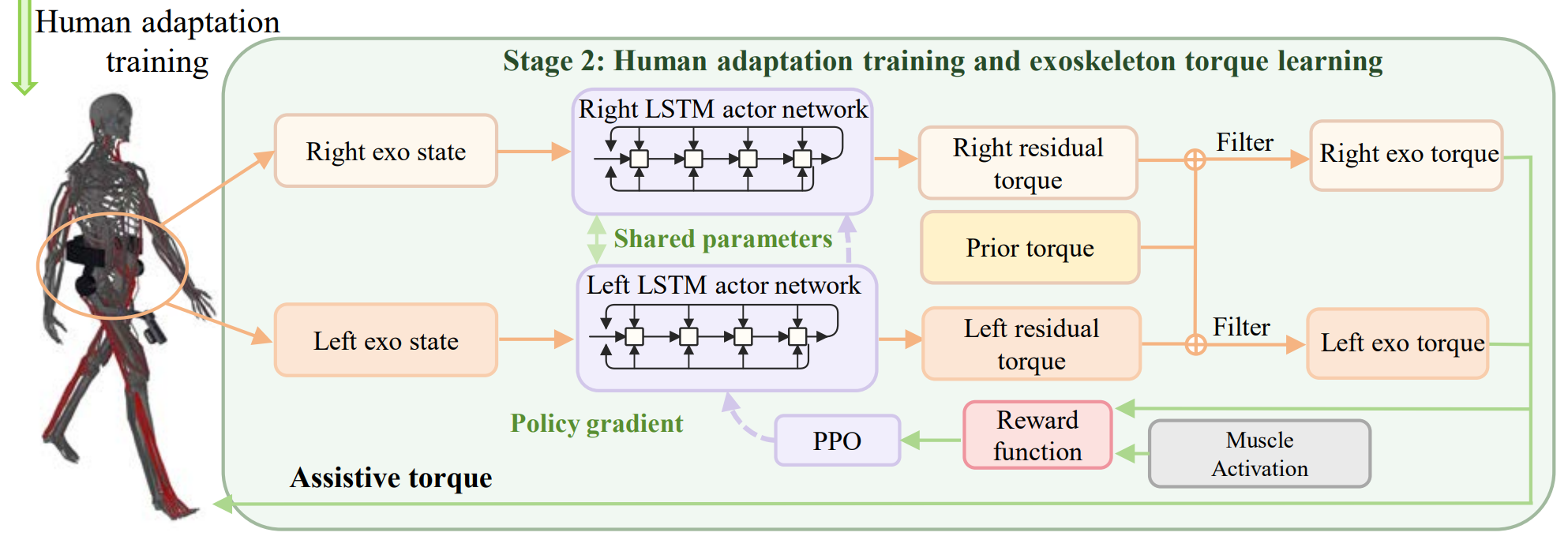 Stage 2 human adaptation and residual exoskeleton torque learning pipeline